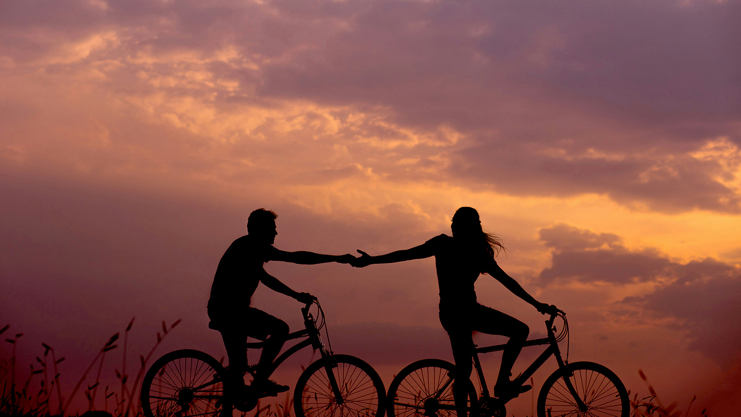 Why Opposite Personalities Attract